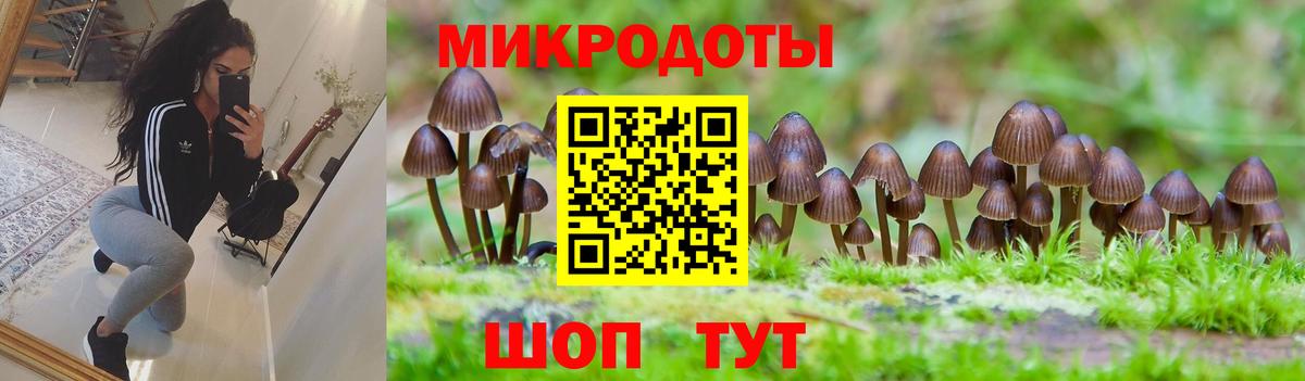 Галлюциногенные грибы Magic Shrooms  цена   Королёв  Вход с VPN  Псилоцибиновые грибы Magic Shrooms 