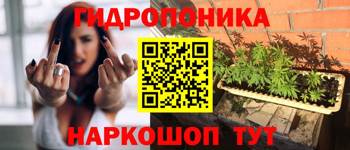 МАРИХУАНА марихуана Королёв